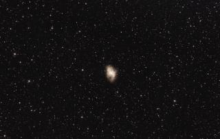 M 1