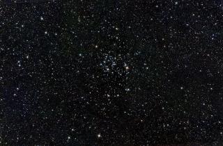 M 50