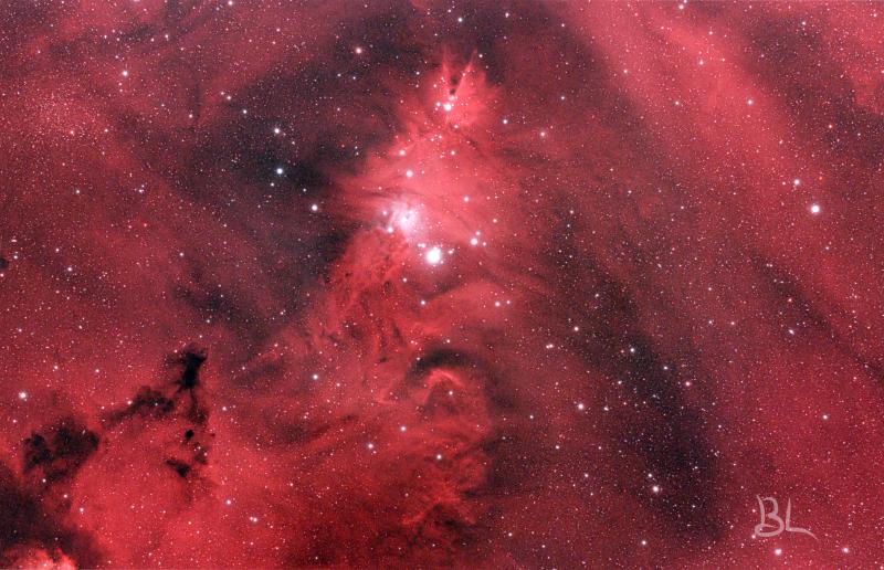 NGC 2264