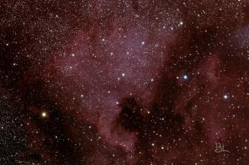 NGC 7000