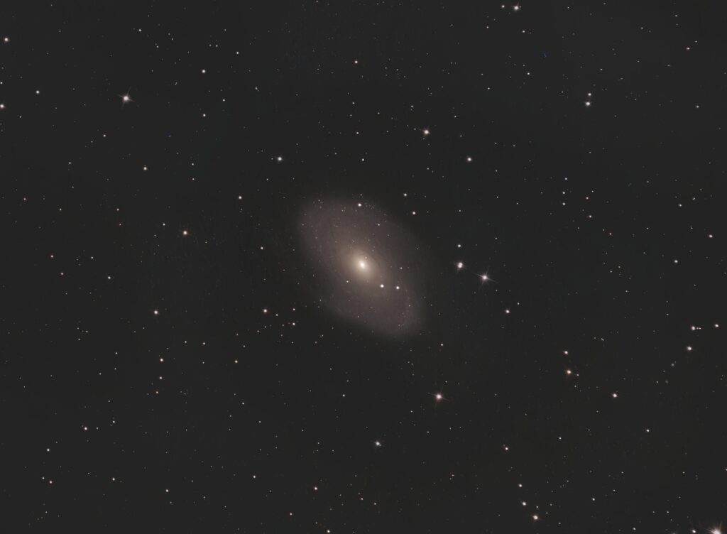 M81